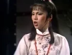 射雕英雄传之华山论剑 20集