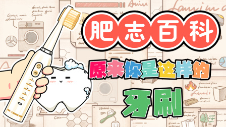 肥志百科 第9季 10集