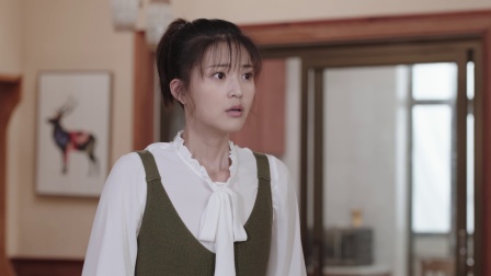 那座城这家人  DVD版 31集