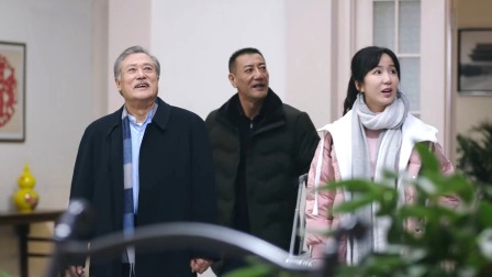 高兴的酸甜苦辣 28集