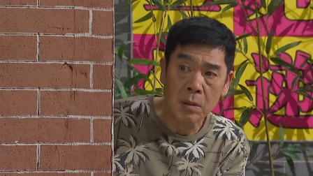 外来媳妇本地郎19 29集