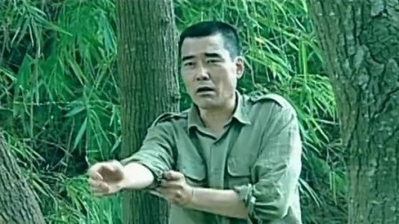 桂北剿匪记 8集