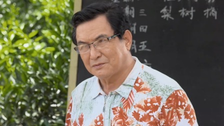 龙门村的故事 16集