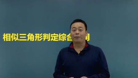 九年级数学 同步辅导 下册 7集