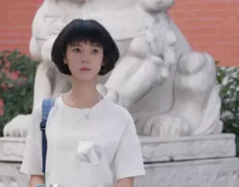 致青春 16集