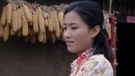 樱桃 14集