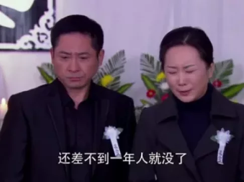 红色青橄榄 16集