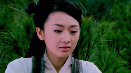 少年杨家将 29集