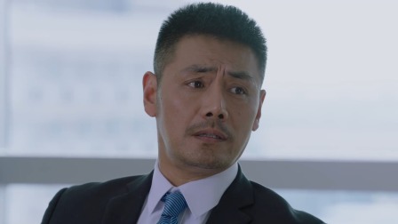 壮志高飞 35集