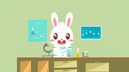 兔小贝科学实验 5集