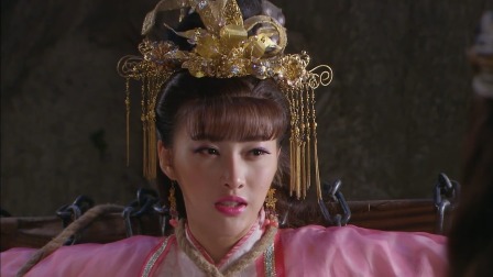 神医传奇 13集
