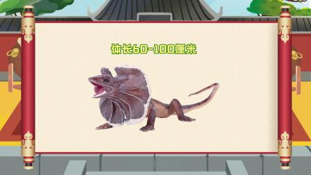 小动物的武林大会 4集
