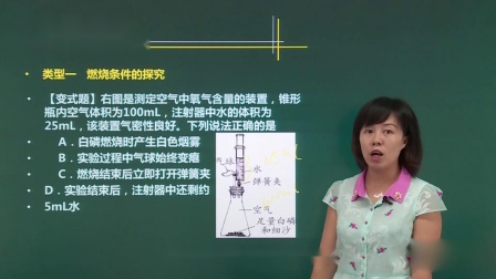 九年级化学总复习 上 18集
