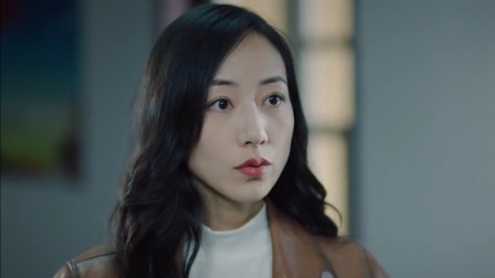 巡回检察组 TV版 27集