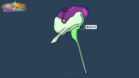 超级镜头：百万个为什么之昆虫篇 2集