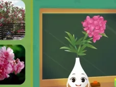 田小艾幼儿识字：花朵篇 15集