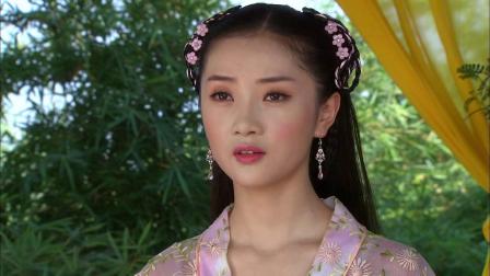 明珠游龙 12集