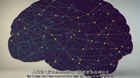 少年的第一堂自然课 18集