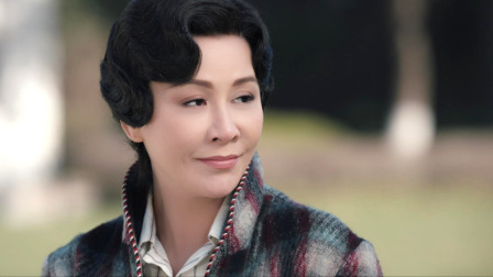 情深缘起 14集