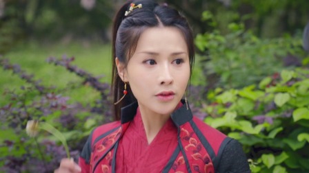 凤临天下 13集