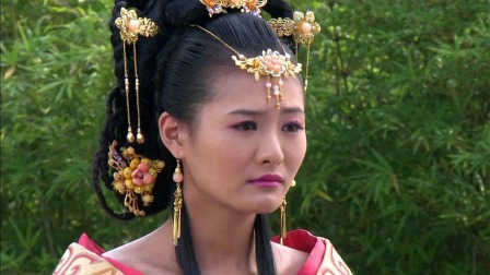 明珠游龙 29集