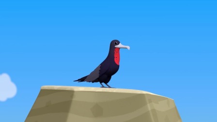 海底小纵队 第9季 25集