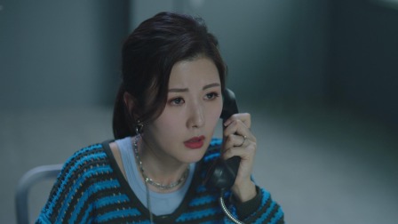 法证先锋VI：幸存者的救赎 7集
