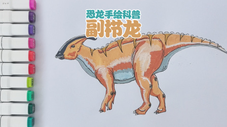 丁丁鸡画恐龙 61集