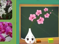 田小艾幼儿识字：花朵篇 3集