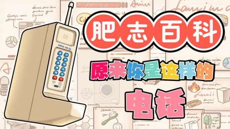 肥志百科 第9季 11集