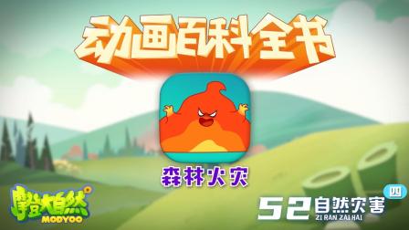 大自然里面的小百科 16集