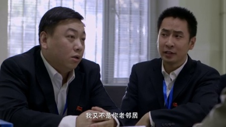 信访局长 23集