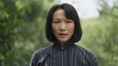 王老敢与游击队 10集