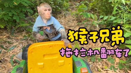 小猴子可可 200集
