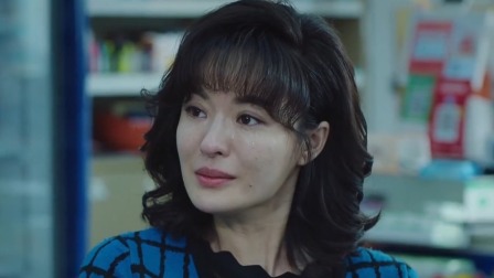 巡回检察组 TV版 30集