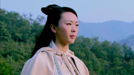 少年杨家将 33集