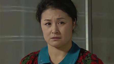 乡村爱情4 35集