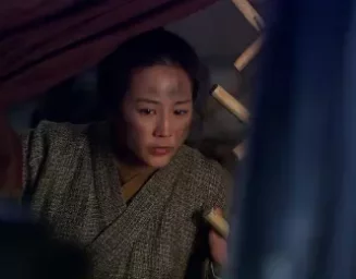 天涯织女 24集