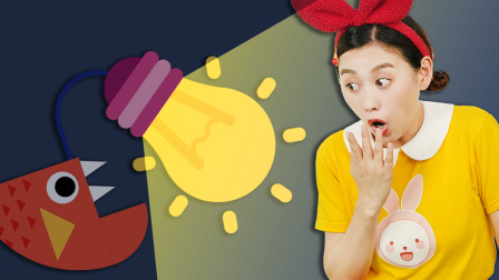 兔子姐姐百变拼图 24集