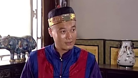 真假王爷 17集