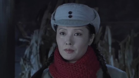 平原烽火 37集