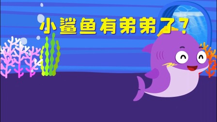 小鲨鱼童话 11集
