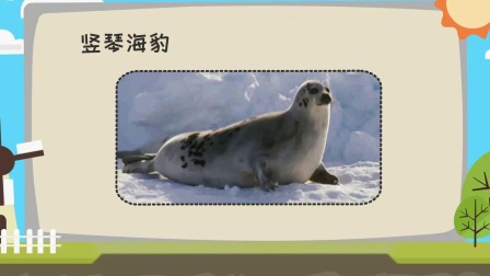 米粒动物大百科2 10集