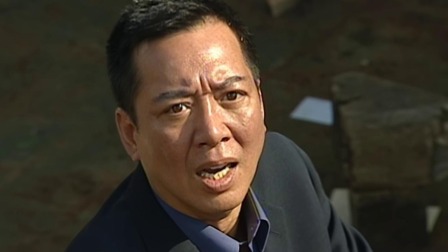 流金岁月 普通话版 32集