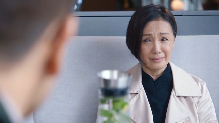 隐门 14集