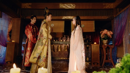 凤婿 20集
