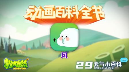 大自然里面的小百科 5集