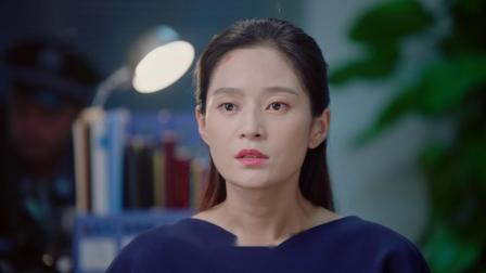 湾区儿女 13集