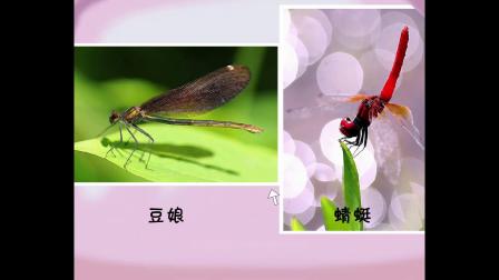 乐儿科普动漫 第3季 9集
