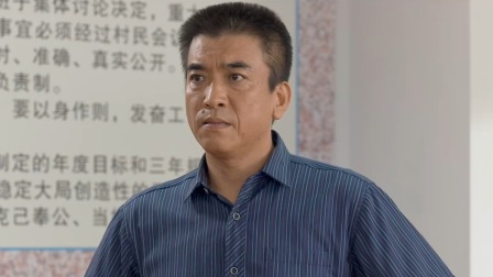 龙门村的故事 17集
